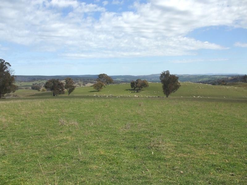Lot 232/ Wee Jasper Road, Tumut NSW 2720
