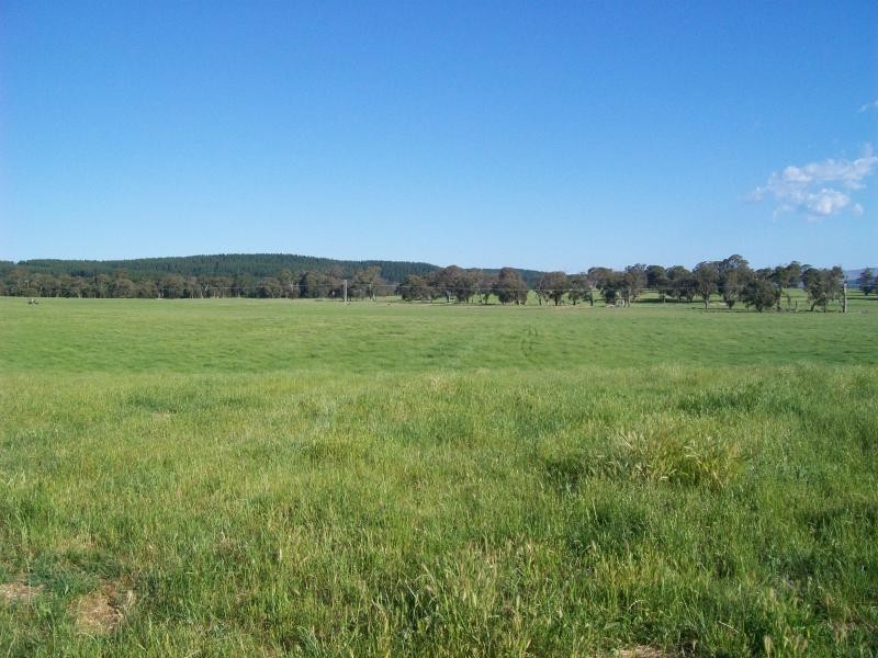 Lot 232/ Wee Jasper Road, Tumut NSW 2720