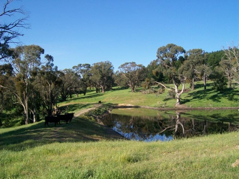 Lot 232/ Wee Jasper Road, Tumut NSW 2720