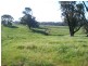 Lot 232/ Wee Jasper Road, Tumut NSW 2720