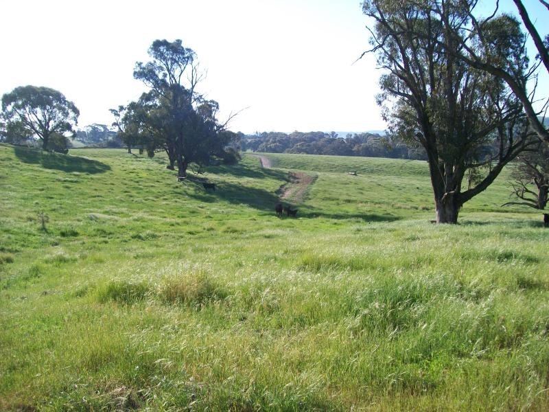 Lot 232/ Wee Jasper Road, Tumut NSW 2720