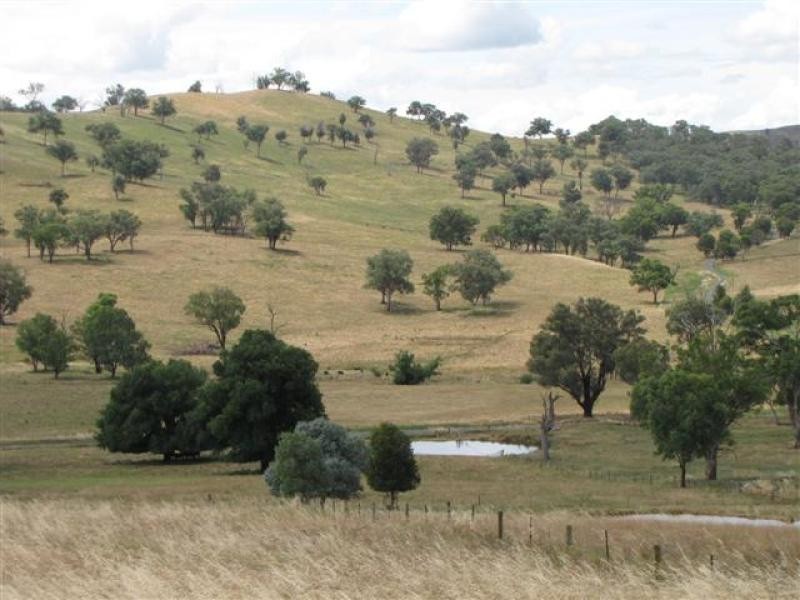 104 Morgans Reserve, Tumut NSW 2720