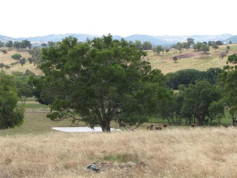 104 Morgans Reserve, Tumut NSW 2720