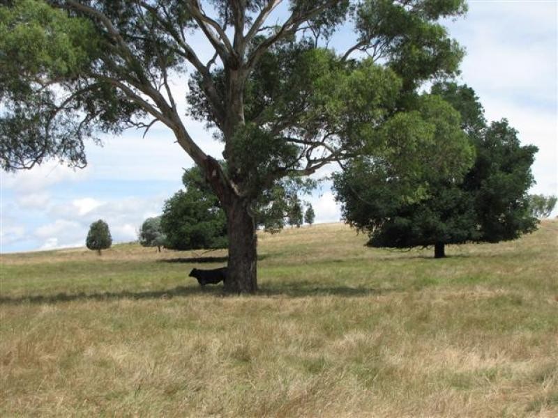 104 Morgans Reserve, Tumut NSW 2720