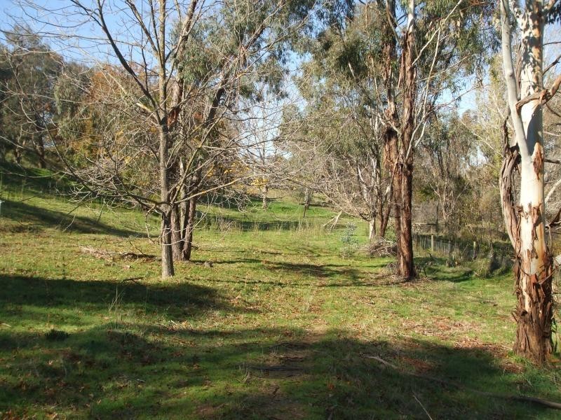 270 Wondalga Road, Adelong NSW 2729