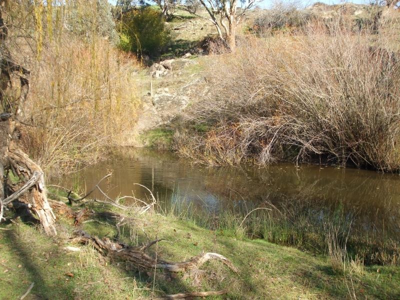 270 Wondalga Road, Adelong NSW 2729