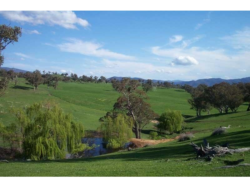 Tumut NSW 2720