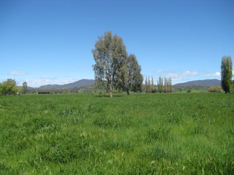 439 Little River Road, Tumut NSW 2720