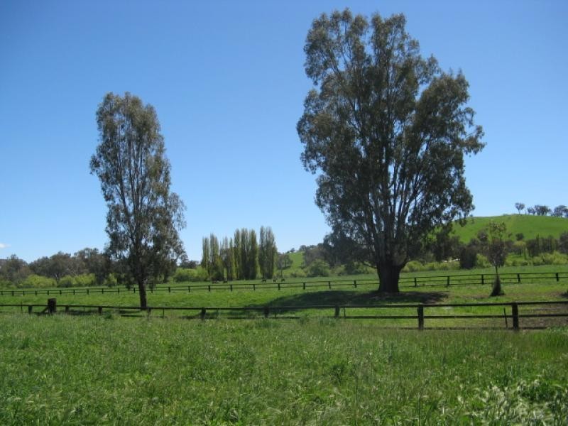 439 Little River Road, Tumut NSW 2720