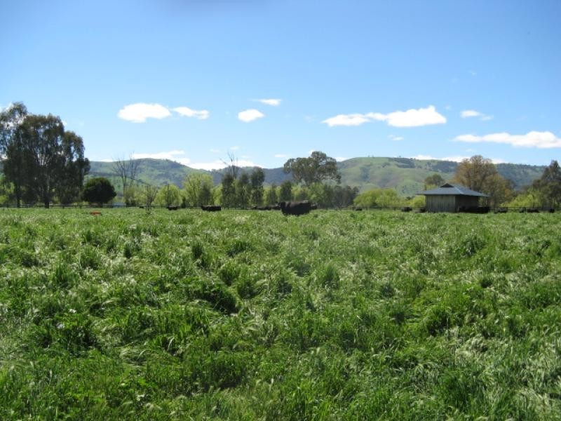 439 Little River Road, Tumut NSW 2720