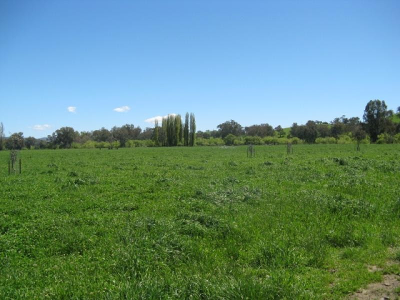 439 Little River Road, Tumut NSW 2720