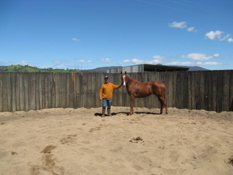 439 Little River Road, Tumut NSW 2720