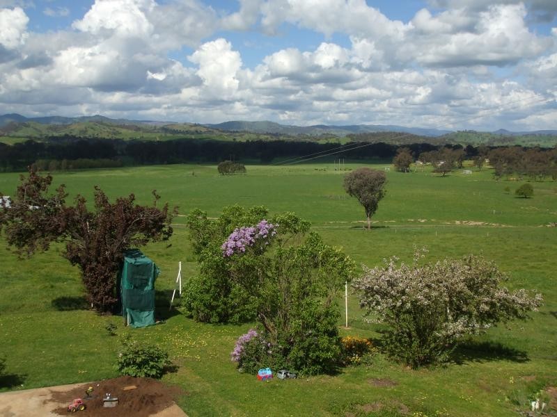 237 Gocup Farms Road, Tumut NSW 2720