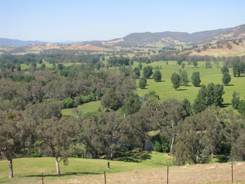 Brungle NSW 2722
