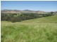 Brungle NSW 2722