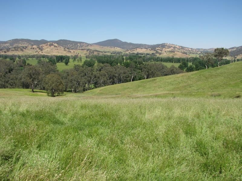 Brungle NSW 2722