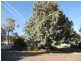 “Callemondah” 49 Blowering Road, Tumut NSW 2720