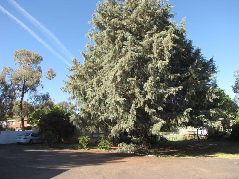 “Callemondah” 49 Blowering Road, Tumut NSW 2720
