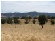 Lot 1/ Lacmalac Road, Tumut NSW 2720