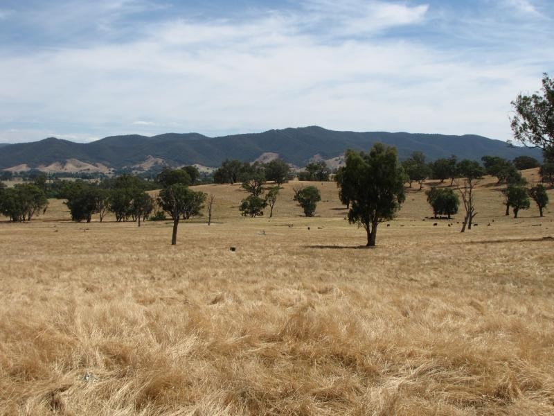 Lot 1/ Lacmalac Road, Tumut NSW 2720