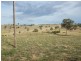 Lot 24/ Foleys Lane, Tumut NSW 2720
