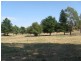 Lot 11/ Selwyn Street, Adelong NSW 2729