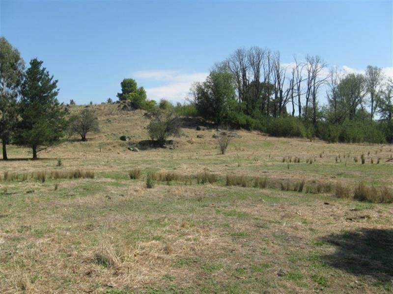 Lot 11/ Selwyn Street, Adelong NSW 2729