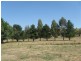 Lot 11/ Selwyn Street, Adelong NSW 2729