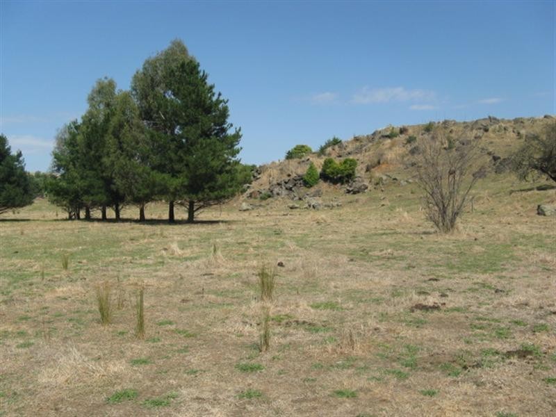 Lot 11/ Selwyn Street, Adelong NSW 2729