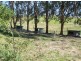 488 Grahamstown Road, Adelong NSW 2729