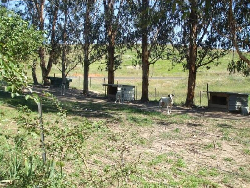 488 Grahamstown Road, Adelong NSW 2729