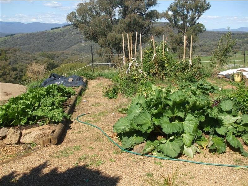 4444 Tumut Road, Batlow NSW 2730