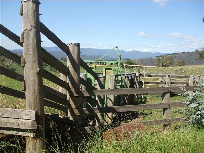 4444 Tumut Road, Batlow NSW 2730