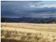 4444 Tumut Road, Batlow NSW 2730