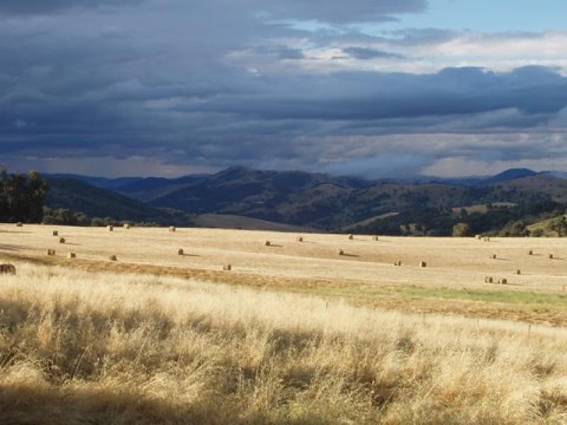 4444 Tumut Road, Batlow NSW 2730