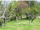 304 Argalong Road, Tumut NSW 2720