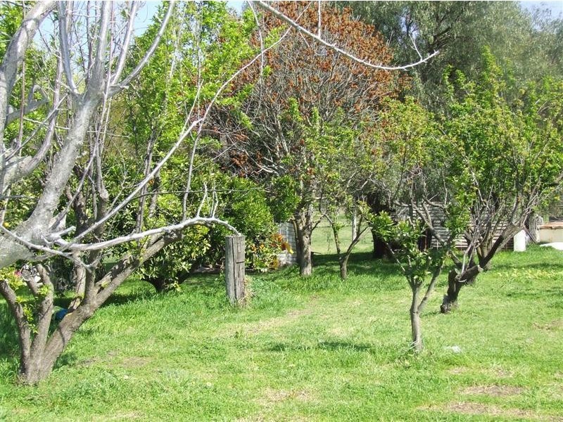 304 Argalong Road, Tumut NSW 2720