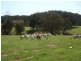 Lot 1/2947 Wee Jasper Road, Tumorrama NSW 2720