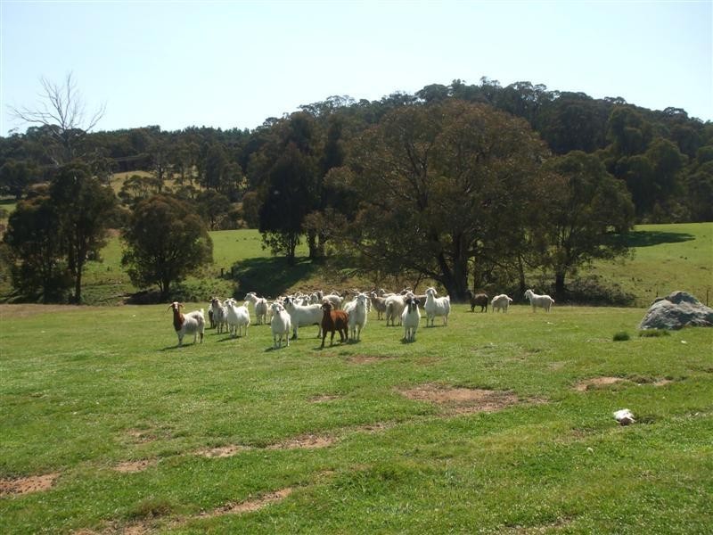 Lot 1/2947 Wee Jasper Road, Tumorrama NSW 2720