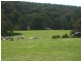 Lot 1/2947 Wee Jasper Road, Tumorrama NSW 2720