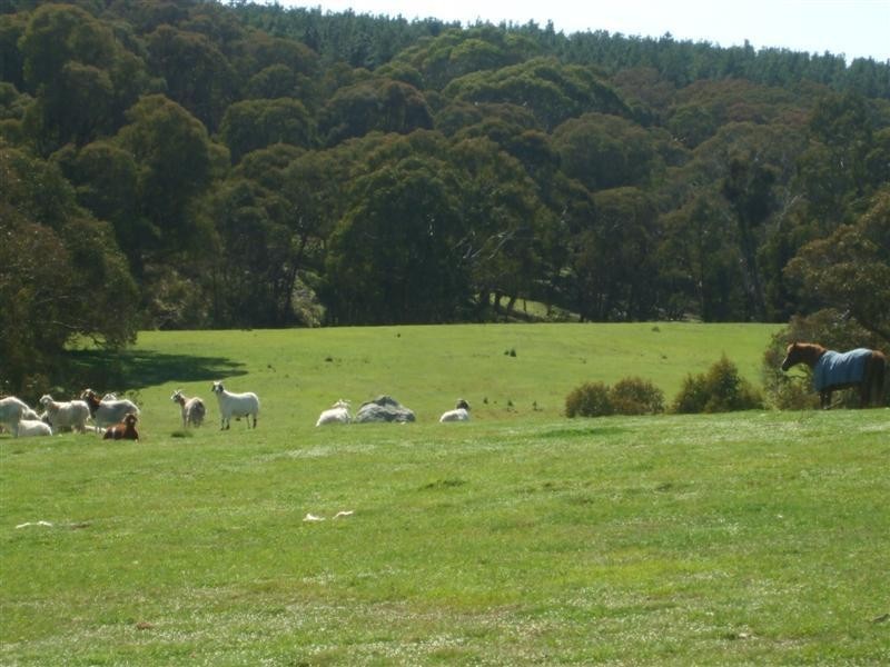 Lot 1/2947 Wee Jasper Road, Tumorrama NSW 2720
