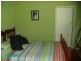 185 Capper St, Tumut NSW 2720