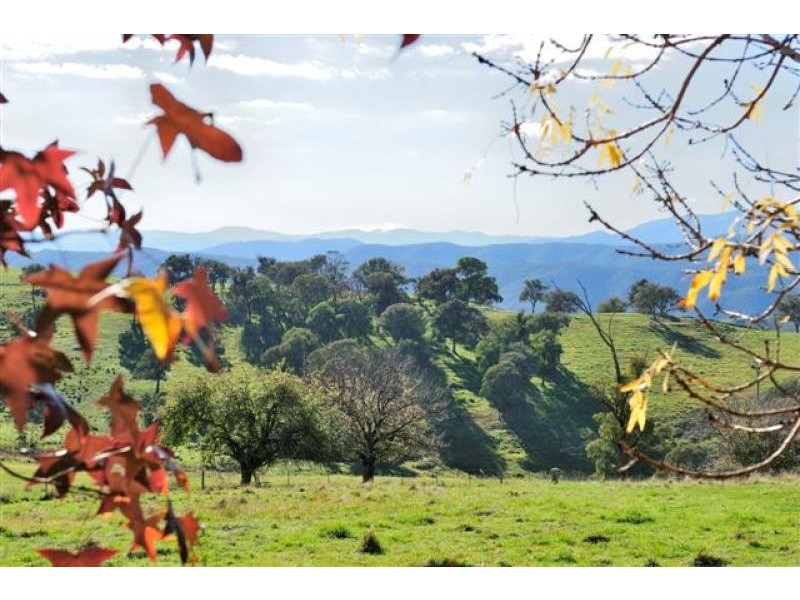 4444 Tumut Road, Batlow NSW 2730