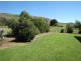 497 West Gilmore Road, Tumut NSW 2720