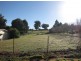 36 Corralyn Avenue, Batlow NSW 2730