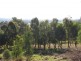 1139 Blowering Road, Tumut NSW 2720