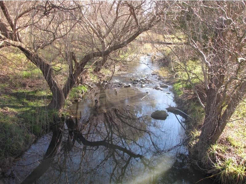 1139 Blowering Road, Tumut NSW 2720