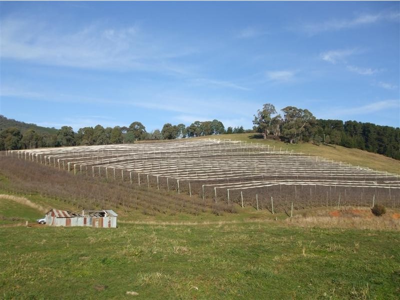 0 Keenans Road, Batlow NSW 2730