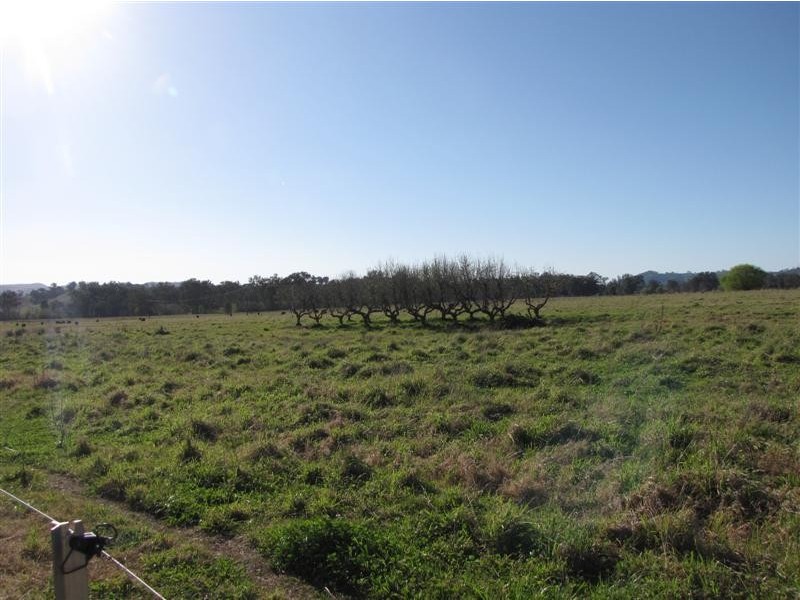 169 Butlers Lane Bombowlee Via, Tumut NSW 2720