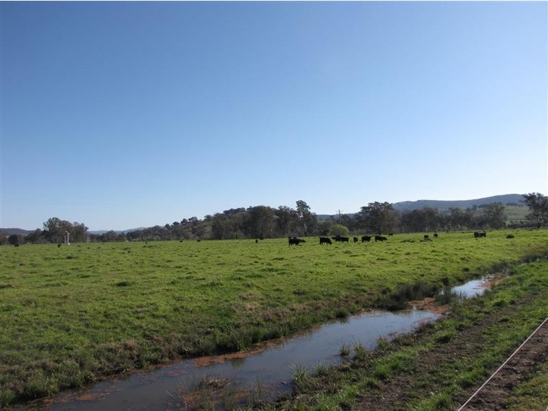 169 Butlers Lane Bombowlee Via, Tumut NSW 2720